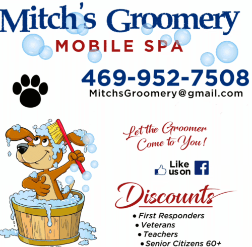 Mitch’s Groomery